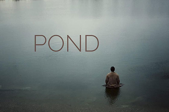 the pond art